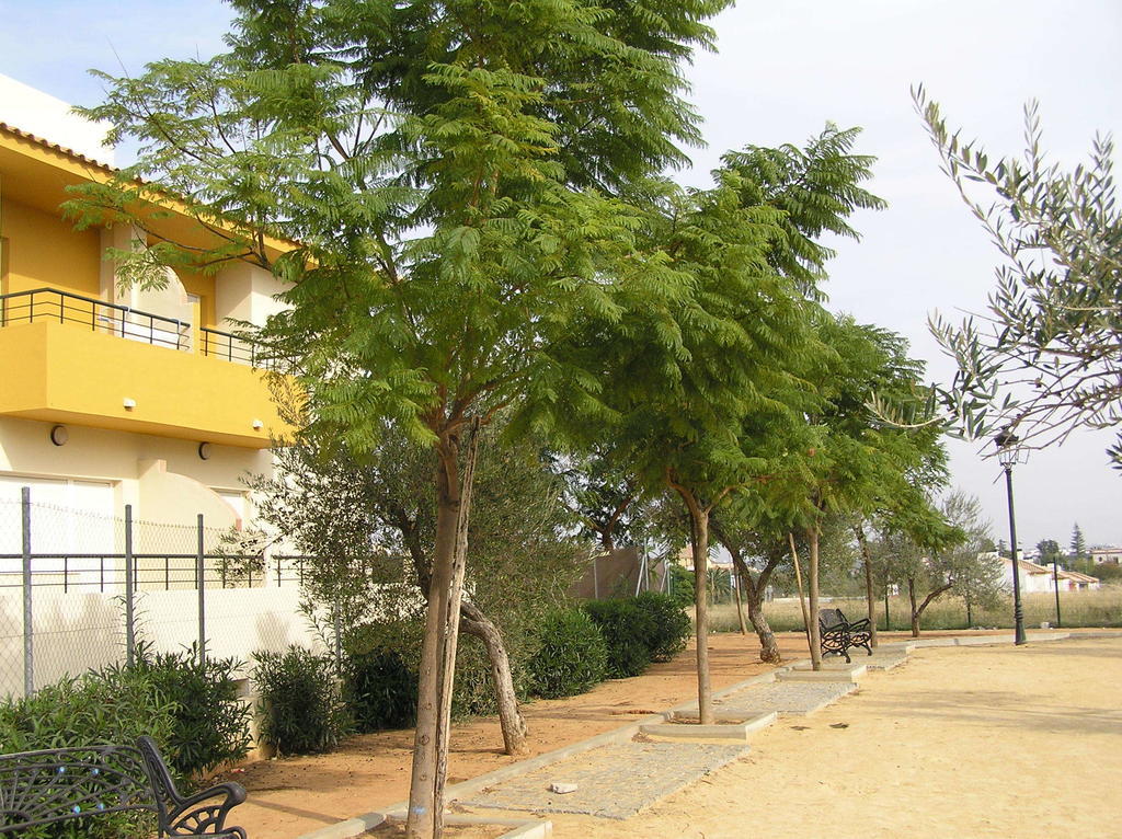 Apartamentos Turisticos Los Girasoles Espartinas Kültér fotó
